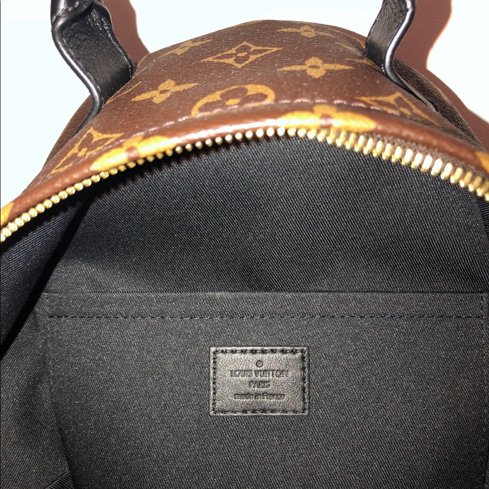 ❌SOLD❌WAITLISTED Louis Vuitton Palm Springs Backpa - Picture 8 of 8